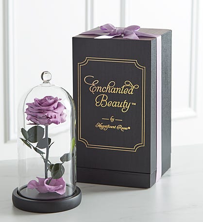 Enchanted Beauty™ by Magnificent Roses® Lavender